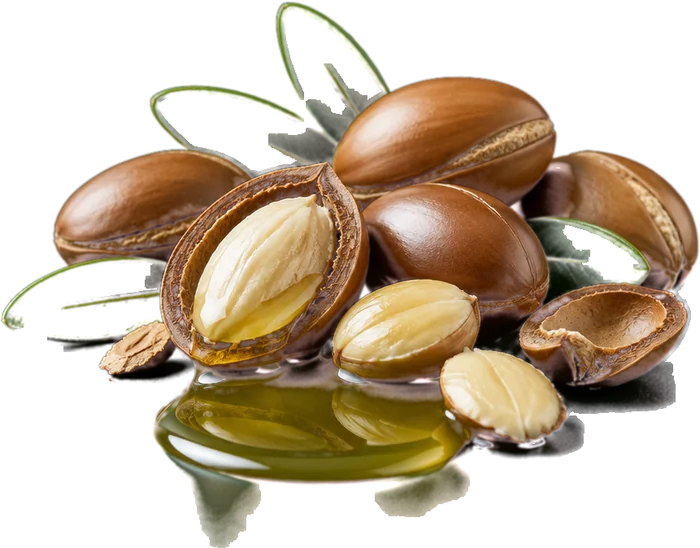 الأرغان